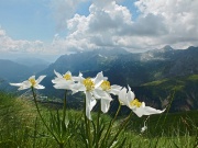 L’ANELLO DELLA MANINA (1821 m.) con SASNA (2229 m.) da Lizzola l’11 luglio 2013  - FOTOGALLERY